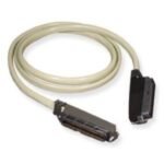 ICC - 25 Pair Male Male Amp 10'